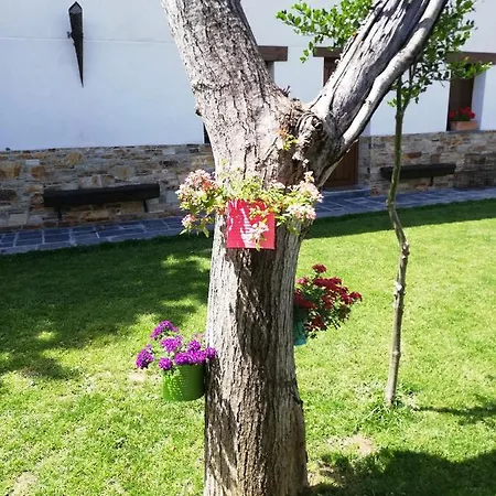 Hostel La Medina De *