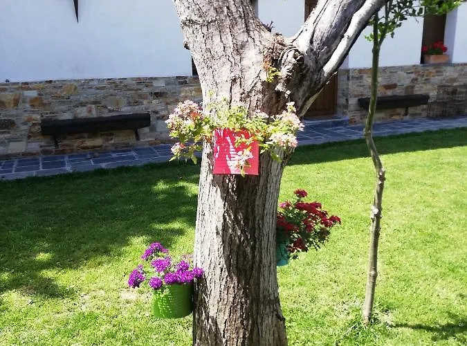 Auberge de jeunesse La Medina De *