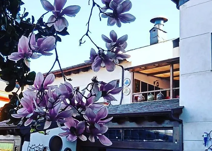 Auberge de jeunesse La Medina De Camponaraya