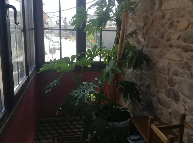 La Medina De Camponaraya